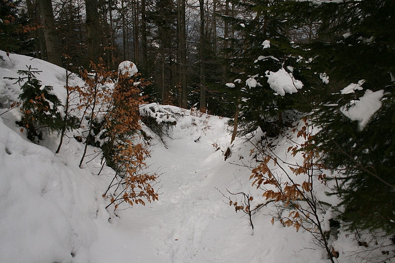 Turbacz 22.03.08 031